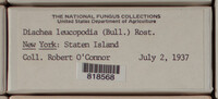 Image Associated With the Occurence